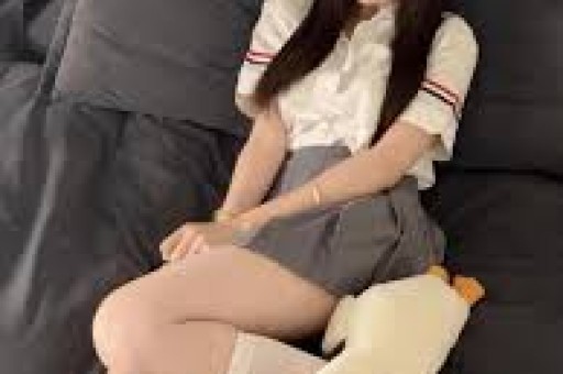 4个理由告诉你为什么要选领导_煌瑟软件免费下载-为创作者提供无限灵感的新工具